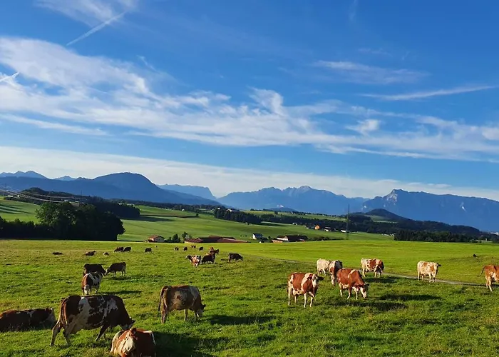 Idyllische Designer-Apartments Am Bio-Bauernhof In Salzburgerseenland Schmiding 10